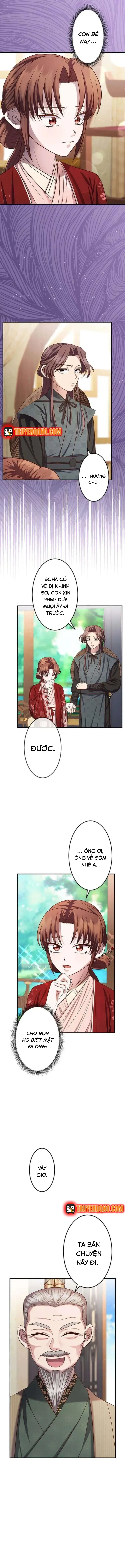 Chapter 15