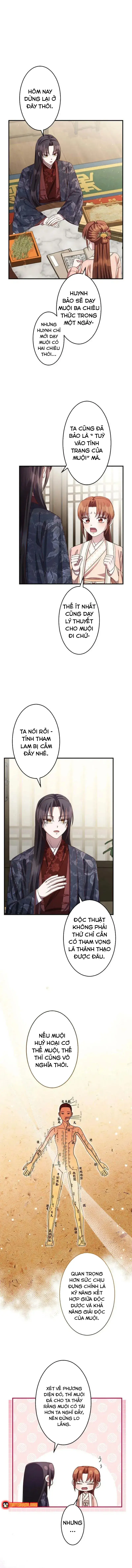 Chapter 19