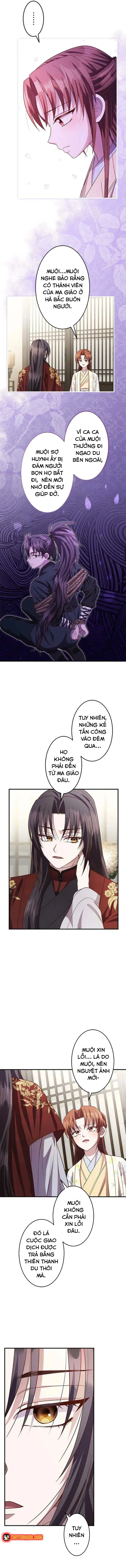 Chapter 19