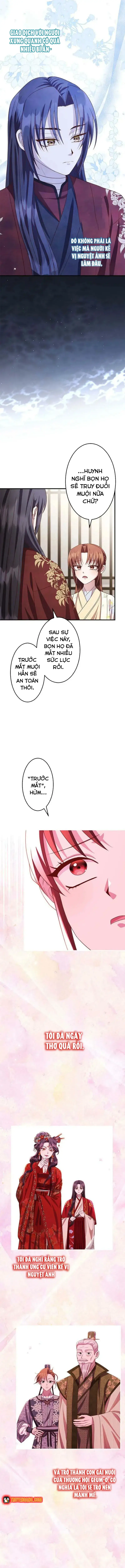 Chapter 19