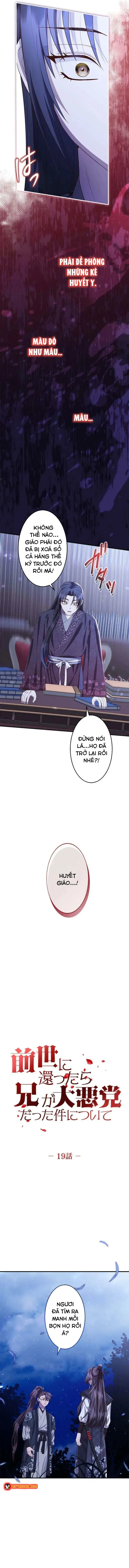 Chapter 19