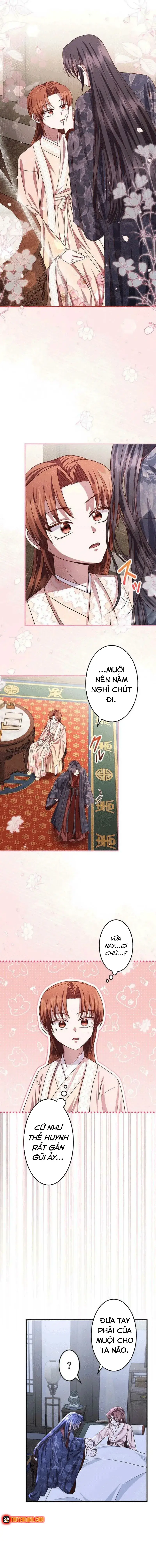 Chapter 20