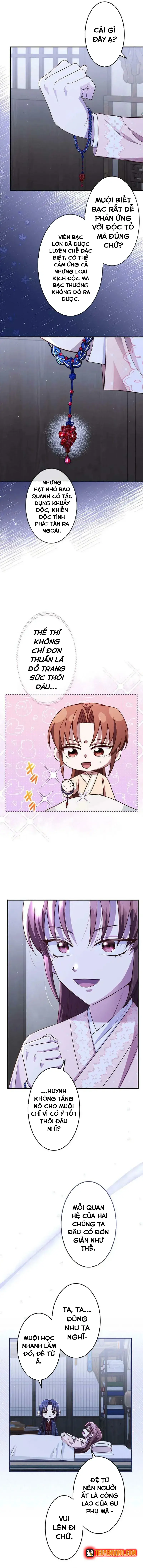 Chapter 20
