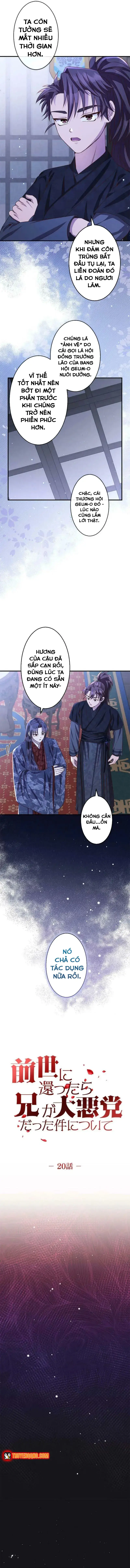 Chapter 20