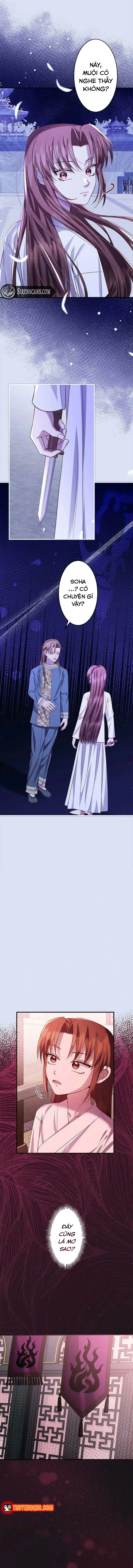 Chapter 20