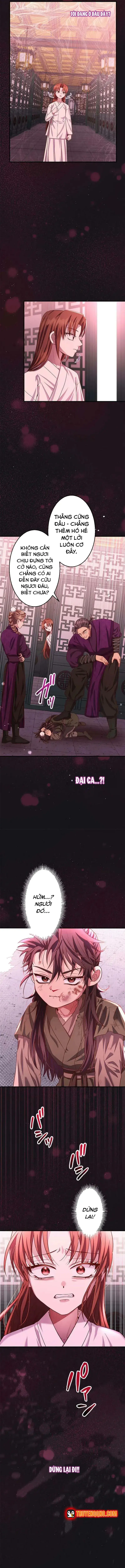 Chapter 20