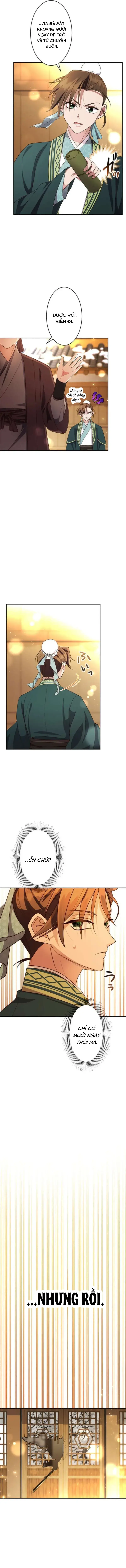 Chapter 3