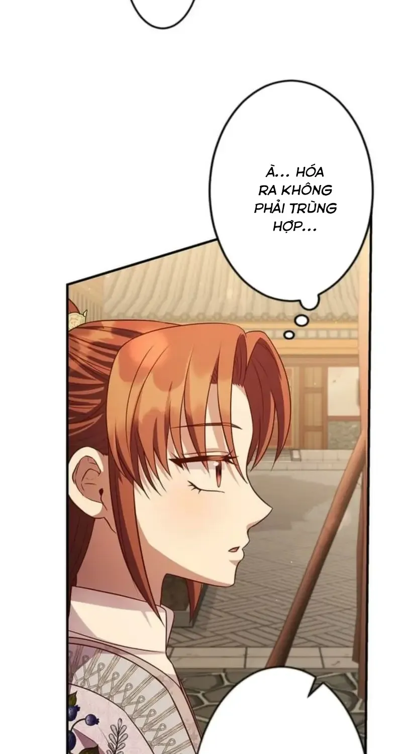 Chapter 23