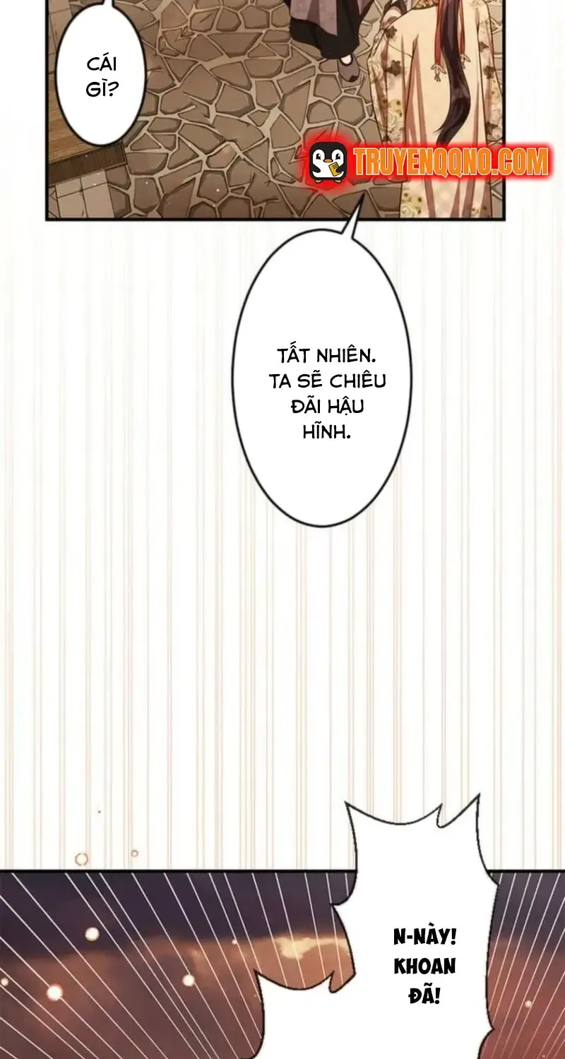 Chapter 23