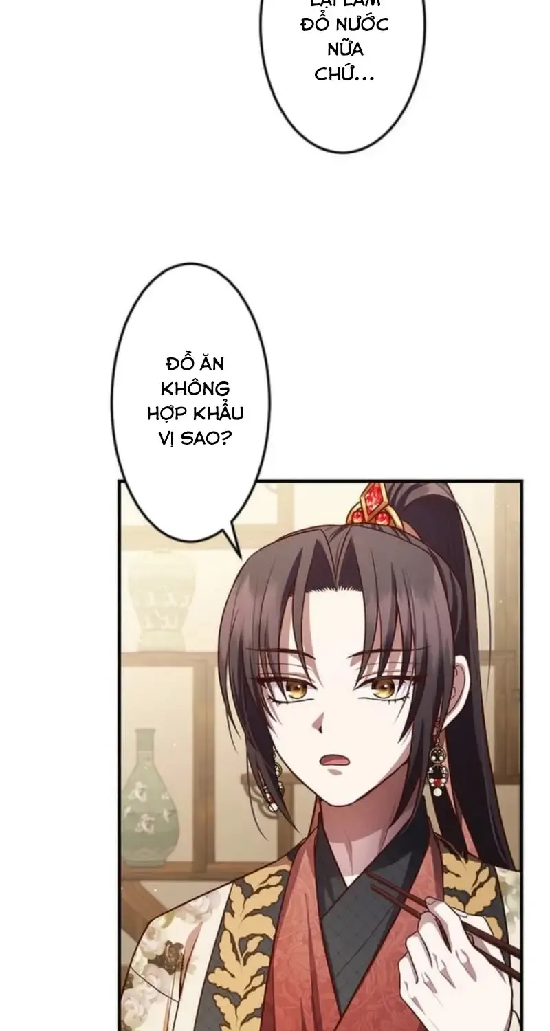 Chapter 23