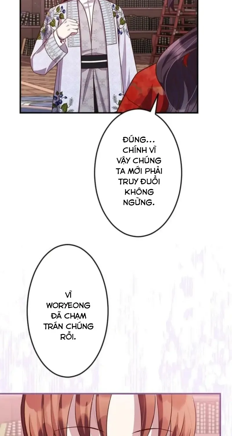 Chapter 23