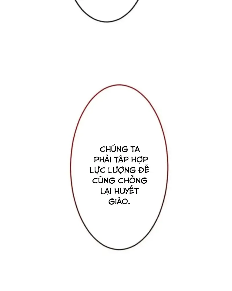 Chapter 23