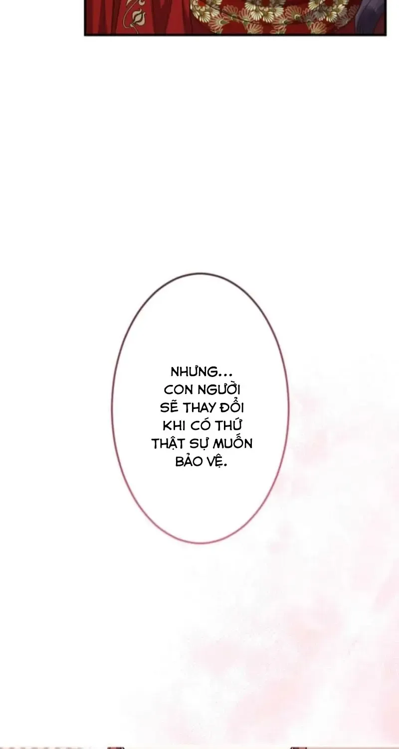 Chapter 23