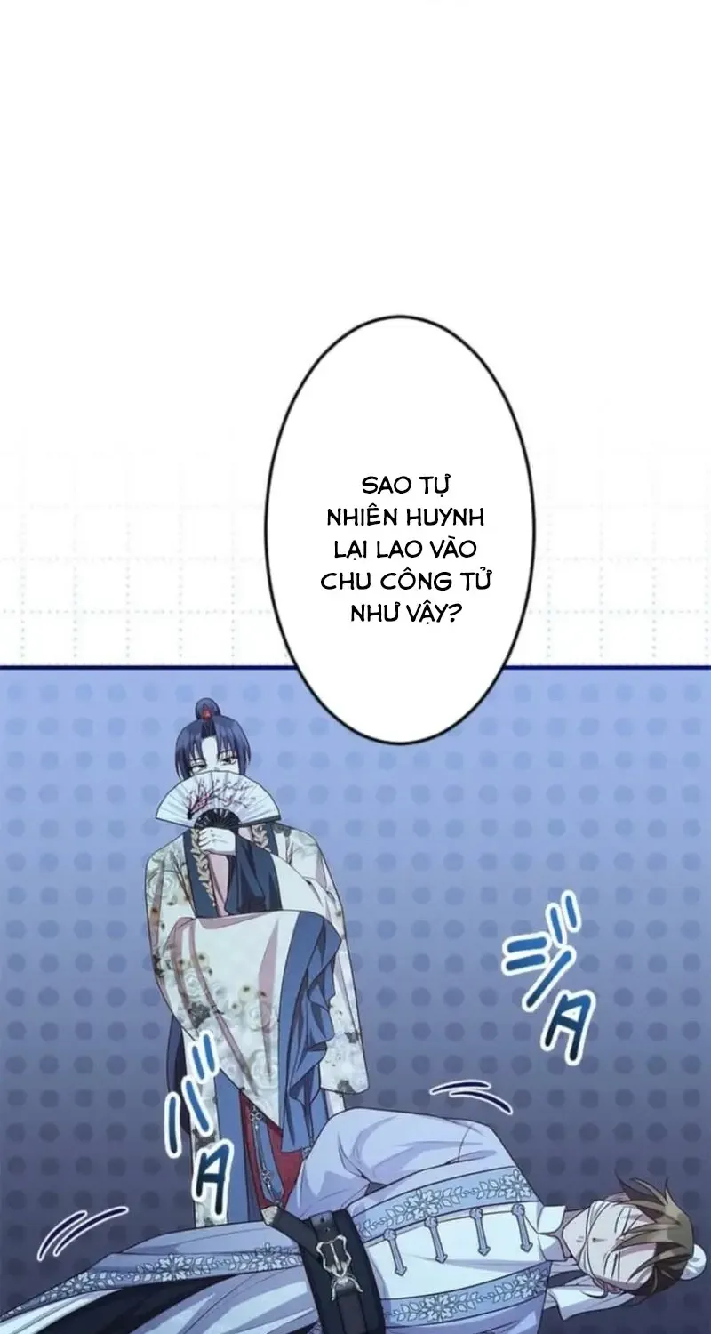 Chapter 23
