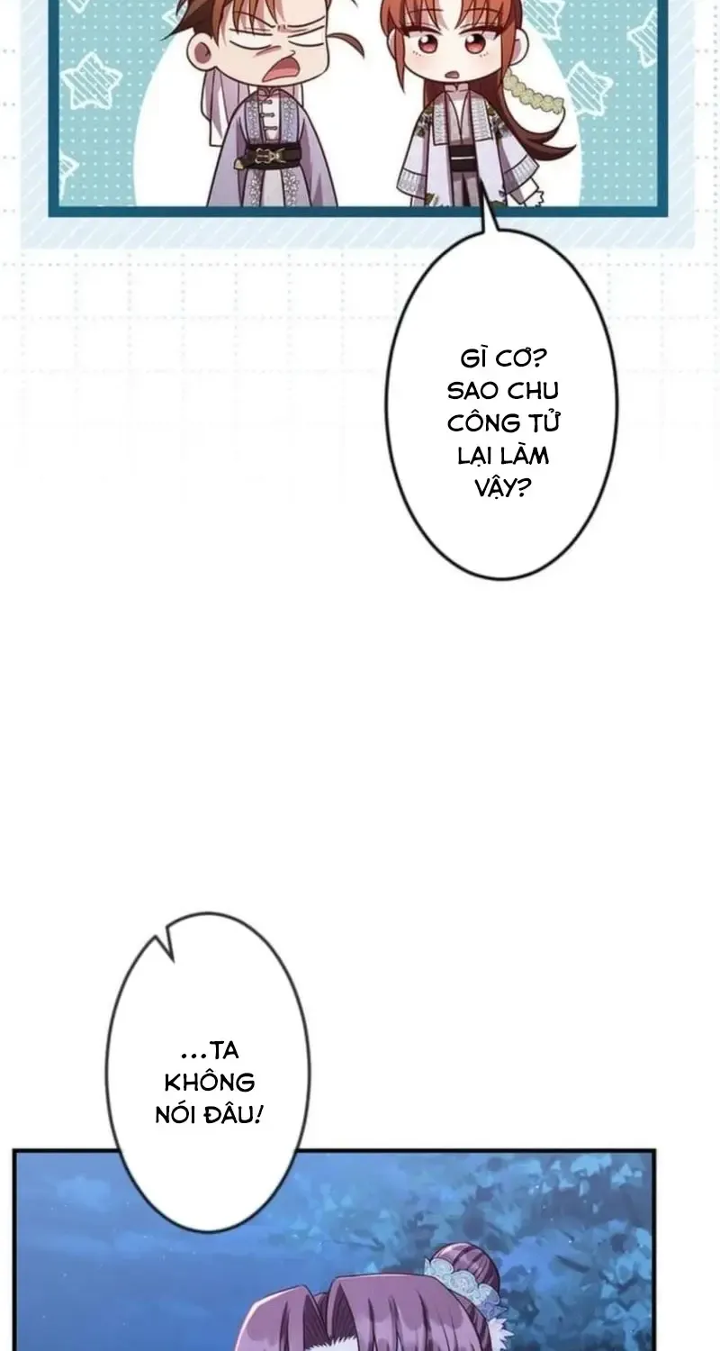 Chapter 23