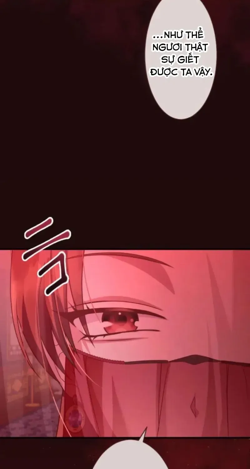 Chapter 26