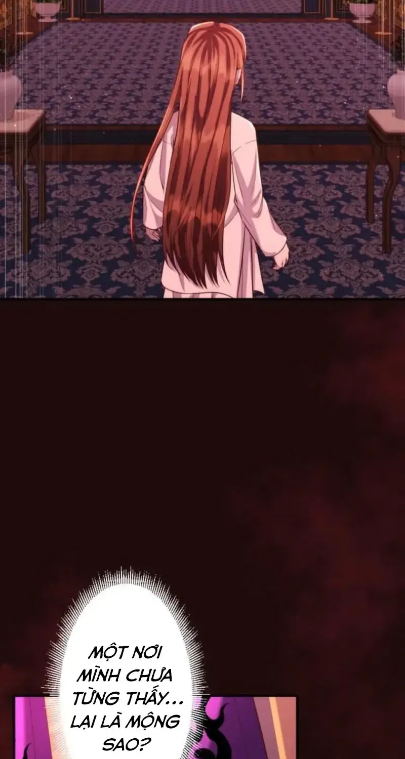 Chapter 26