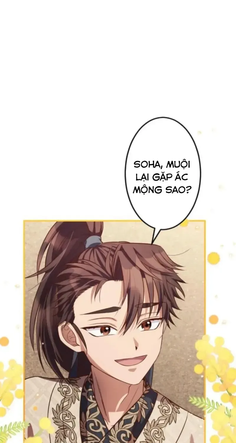 Chapter 26