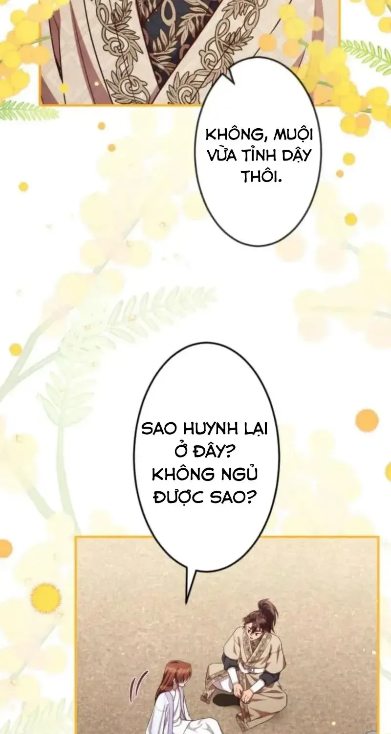 Chapter 26