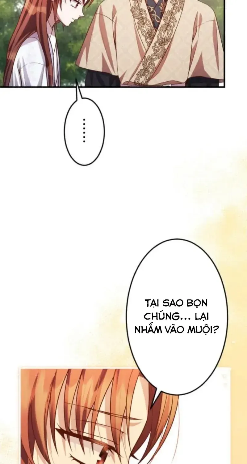 Chapter 26
