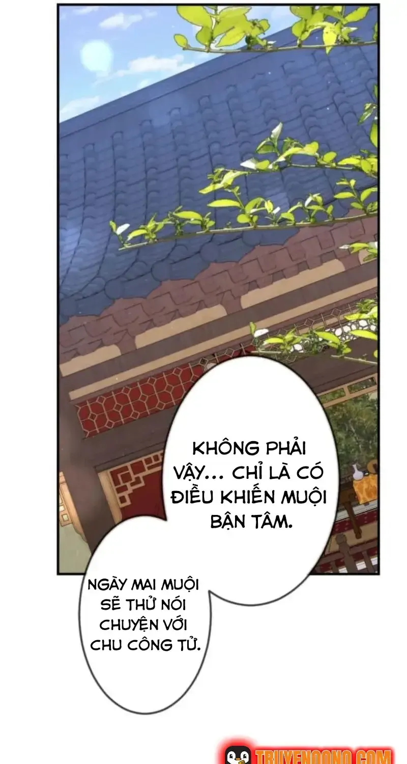 Chapter 26