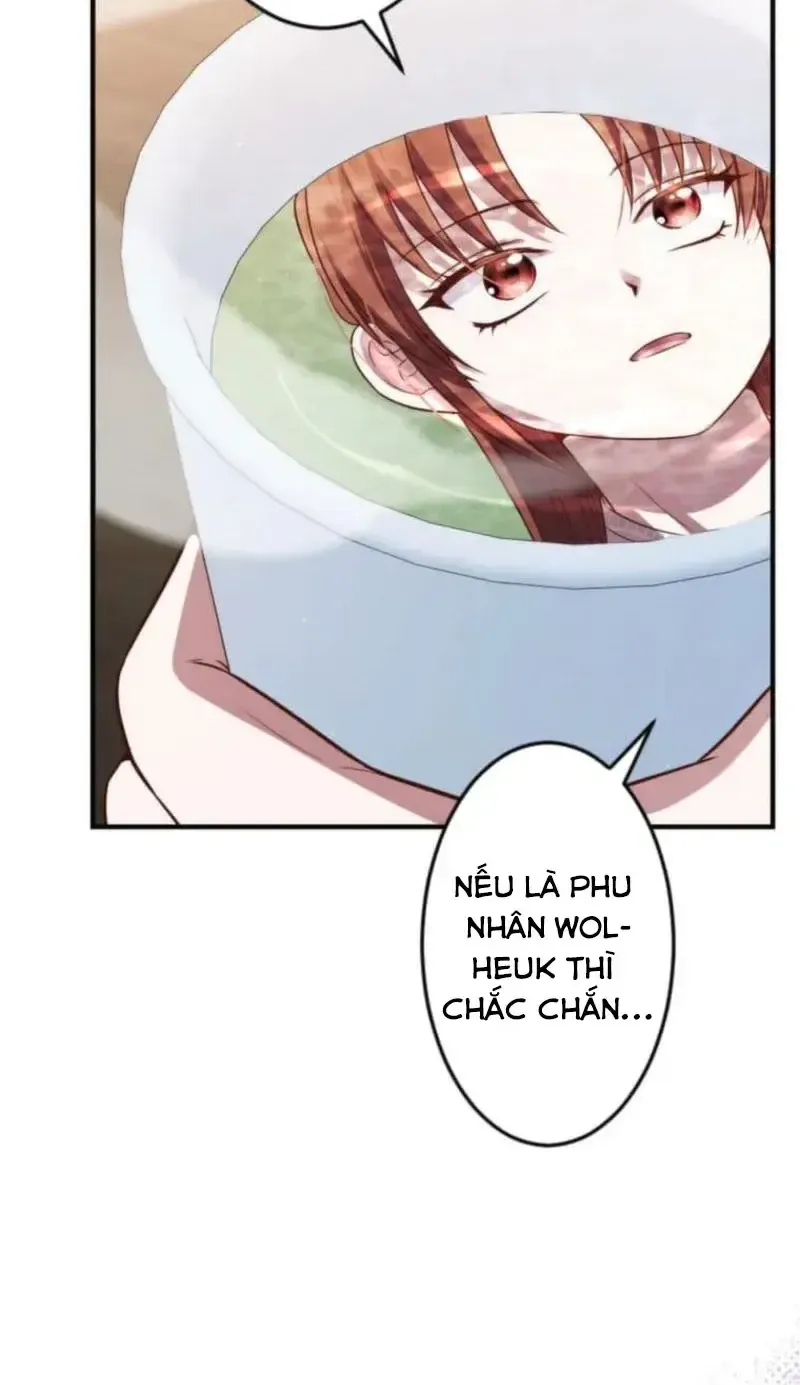 Chapter 26