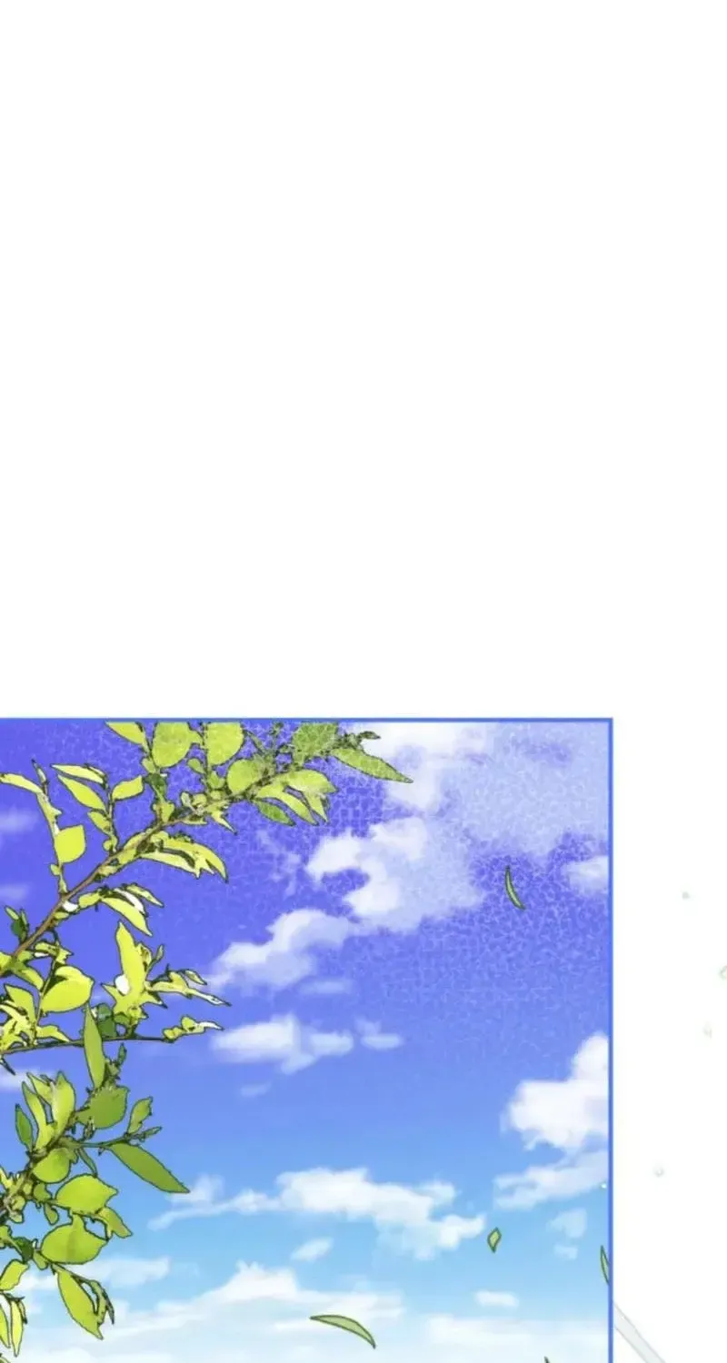 Chapter 26