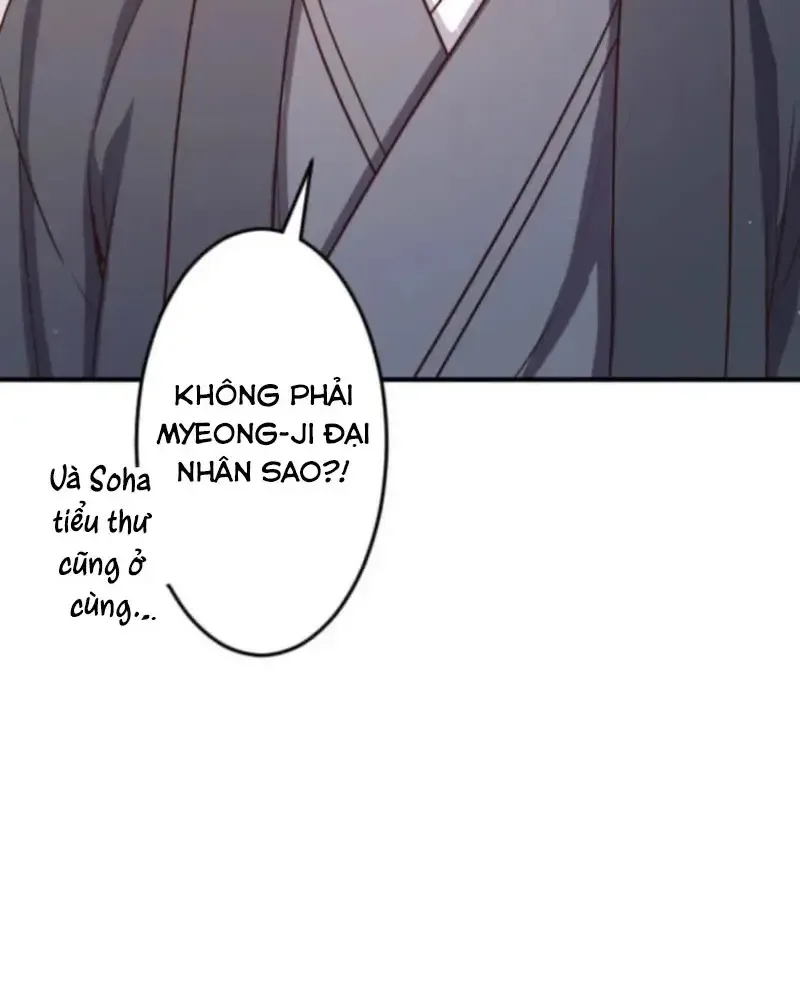 Chapter 26
