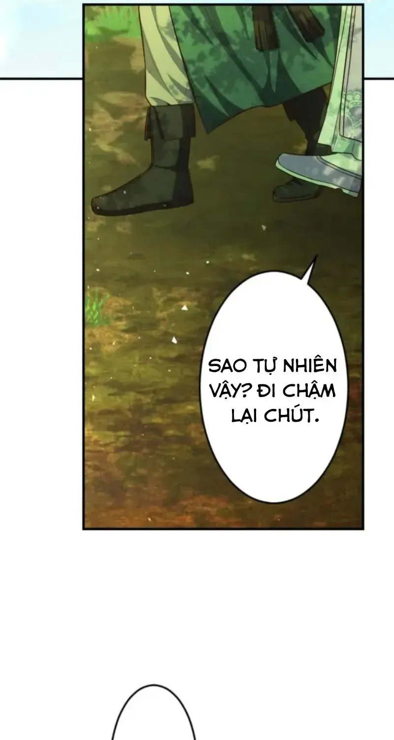Chapter 26