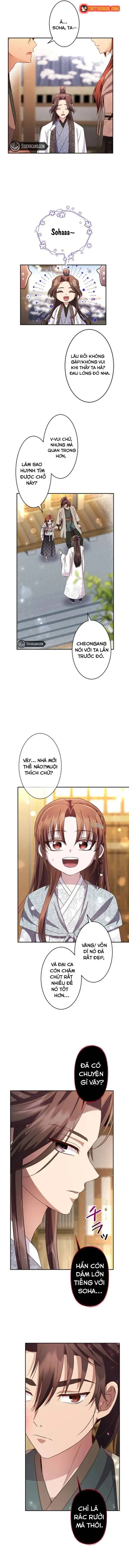 Chapter 4