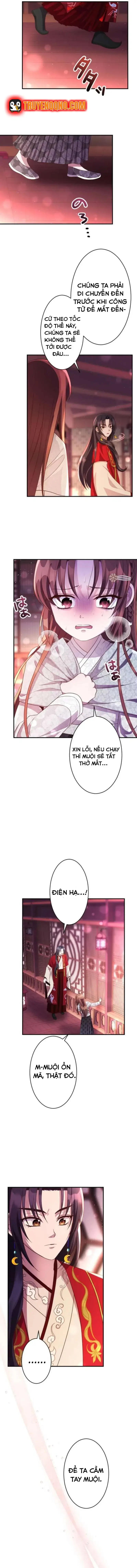Chapter 5