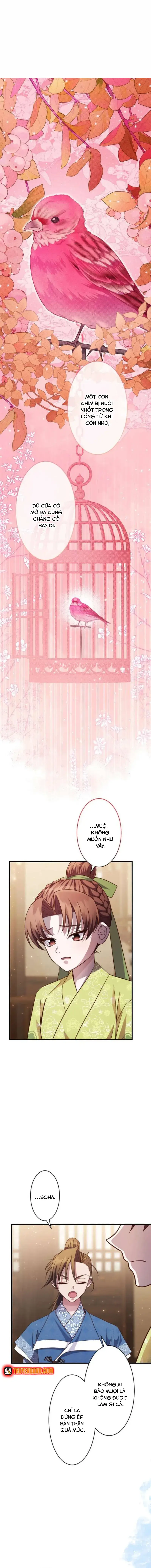 Chapter 9
