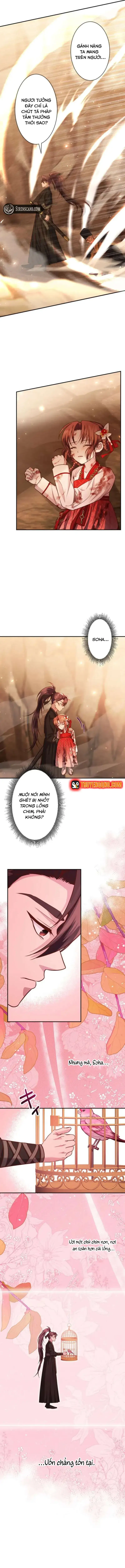 Chapter 10