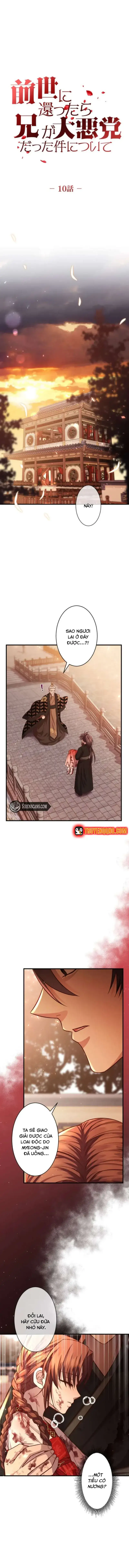 Chapter 10