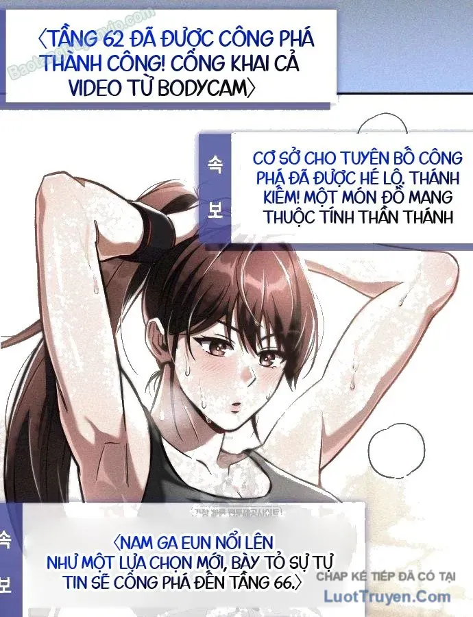 Chapter 19