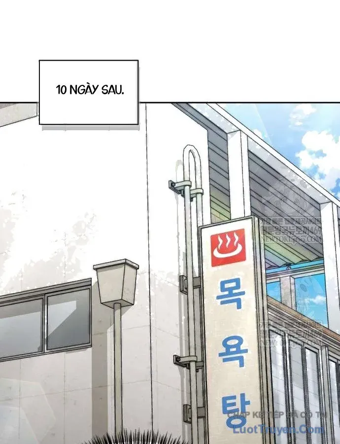 Chapter 19