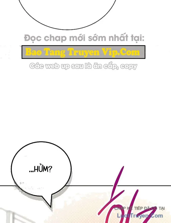 Chapter 19