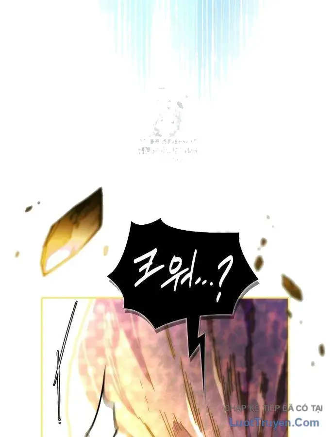 Chapter 19