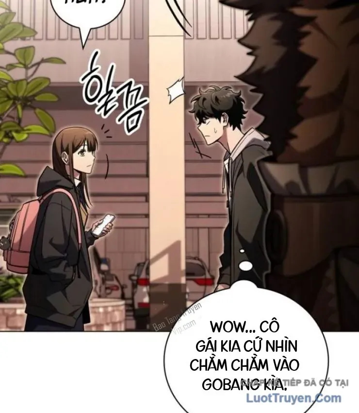 Chapter 23