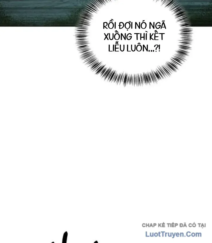 Chapter 23