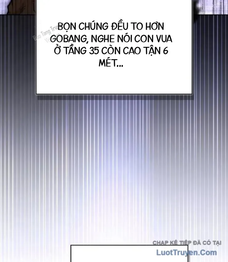 Chapter 23