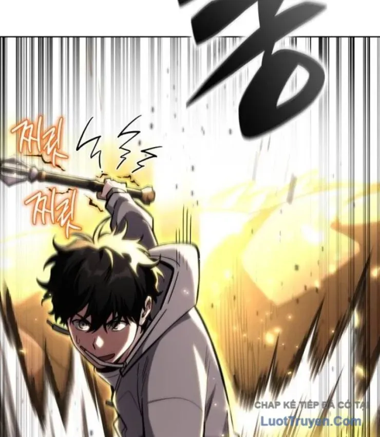 Chapter 23