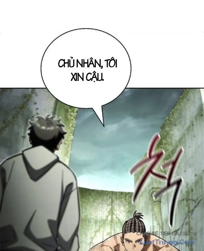 Chapter 25