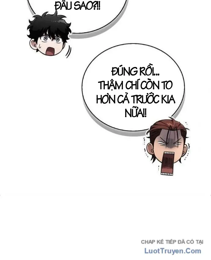 Chapter 25