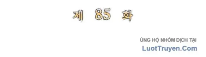 Chapter 85