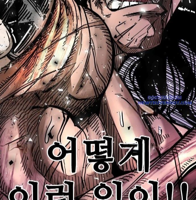 Chapter 339