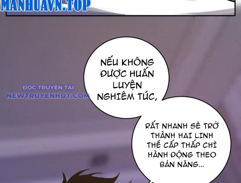 Chapter 46