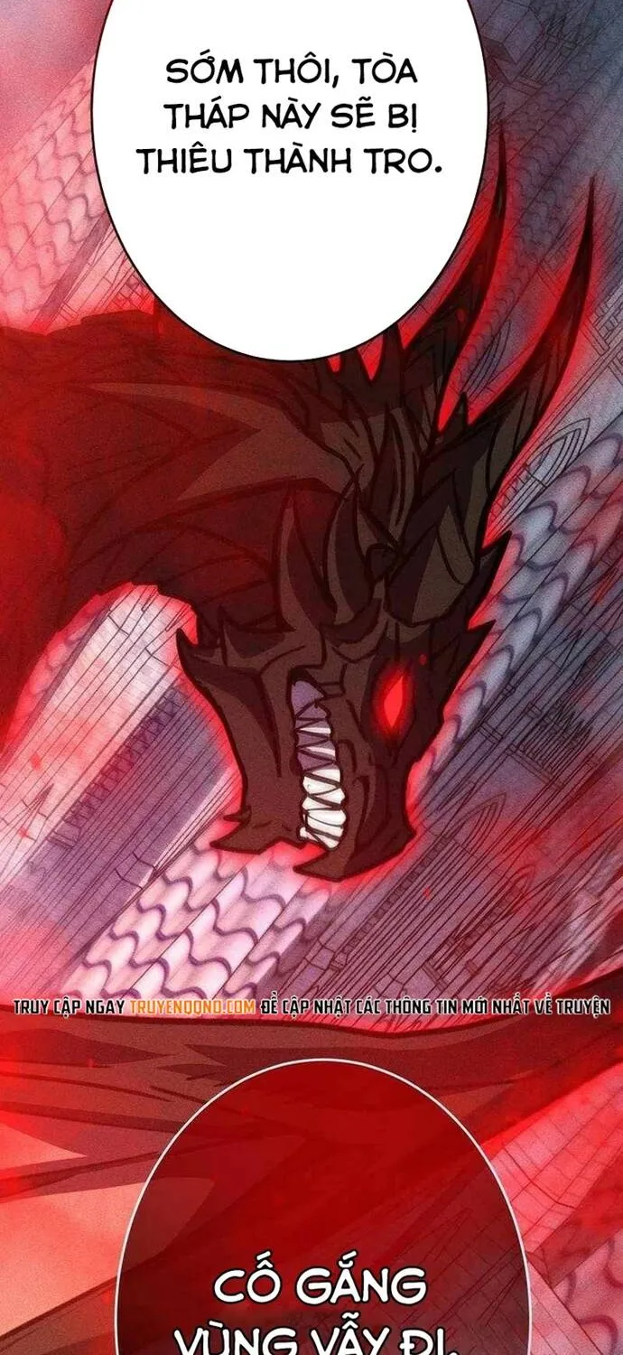 Chapter 46