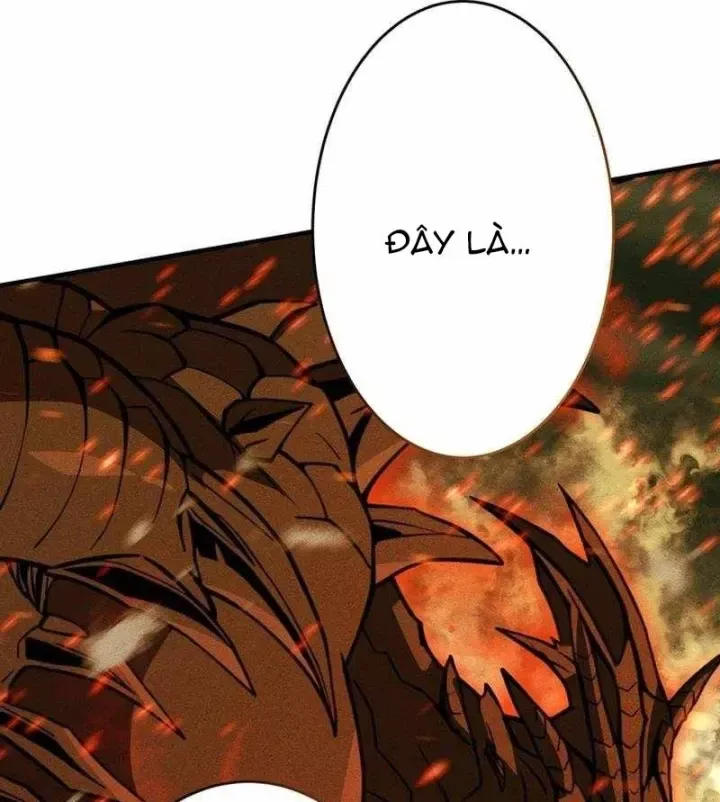 Chapter 47