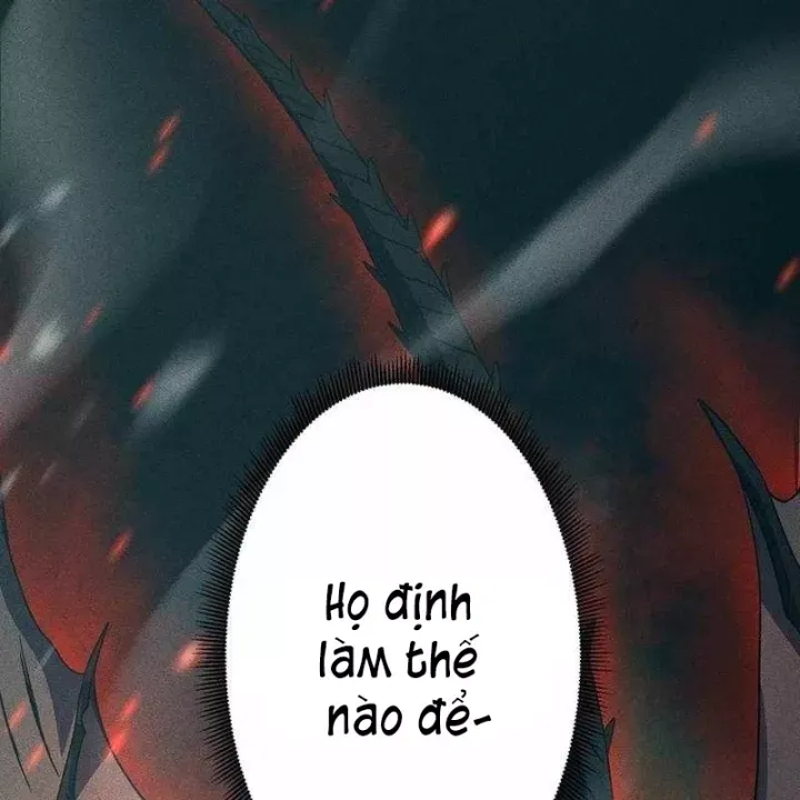 Chapter 48